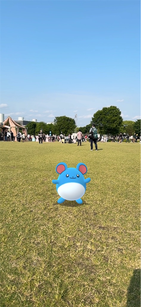 f:id:jb-64:20250611115652j:image