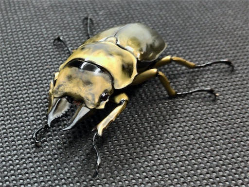 f:id:jbwideandshallow:20180324110443j:image