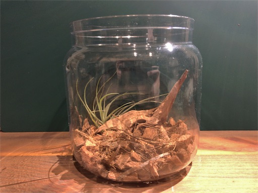 f:id:jbwideandshallow:20180517064745j:image