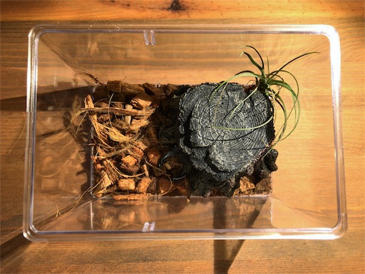 f:id:jbwideandshallow:20180721082432j:image