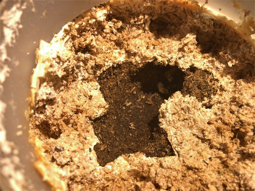 f:id:jbwideandshallow:20181215121123j:image f:id:jbwideandshallow:20181215121123j:image