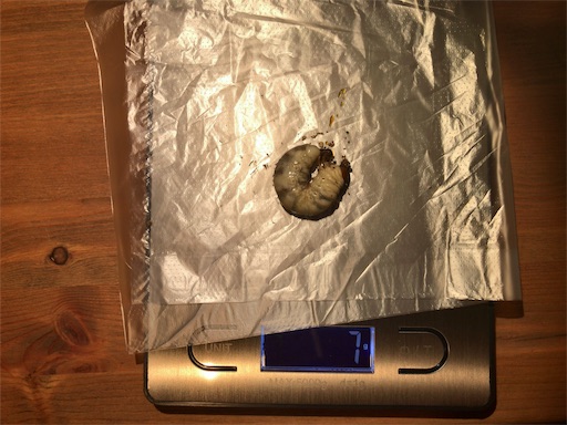 f:id:jbwideandshallow:20181215121214j:image f:id:jbwideandshallow:20181215121214j:image