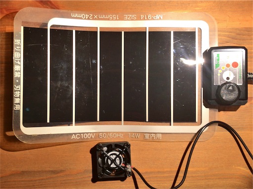 DHヘラクレス♂2匹 温度管理用マルチパネルヒーター、サーモスタット