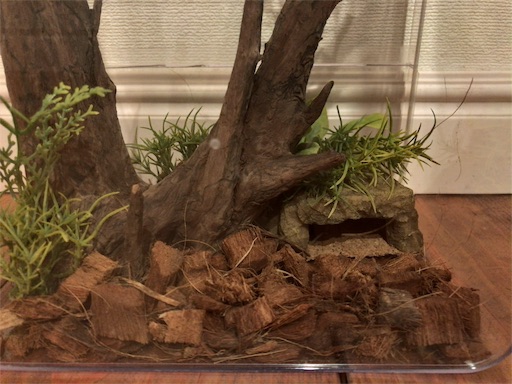 Mosaki様専用 天然木 樹洞 レイアウト用品 クワリウム
