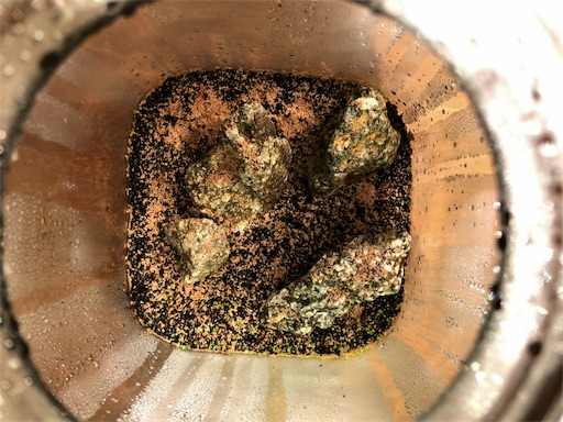 f:id:jbwideandshallow:20190615223300j:image f:id:jbwideandshallow:20190615223300j:image