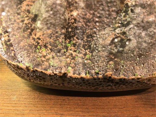 f:id:jbwideandshallow:20190615223321j:image f:id:jbwideandshallow:20190615223321j:image