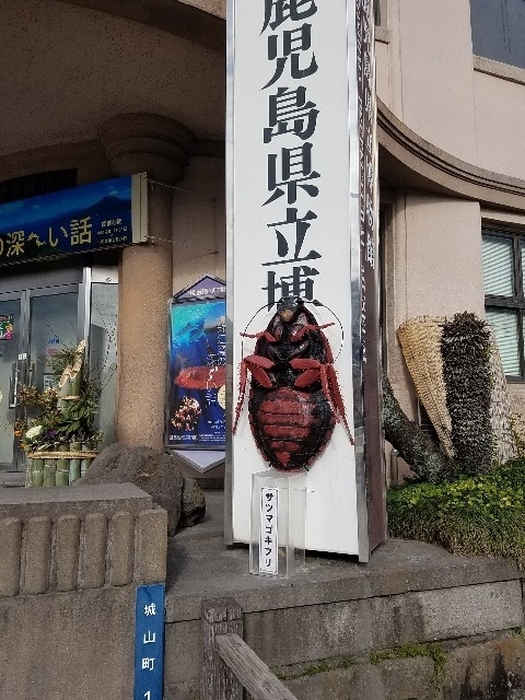 f:id:jctam:20200117223056j:plain f:id:jctam:20200117223056j:plain