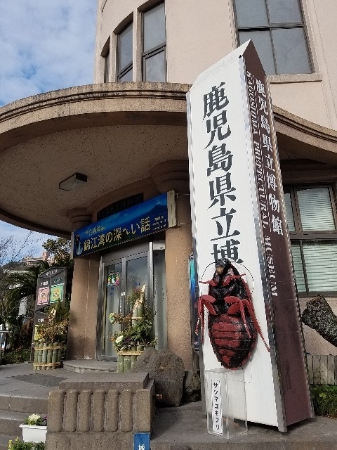 f:id:jctam:20200117231151j:plain f:id:jctam:20200117231151j:plain
