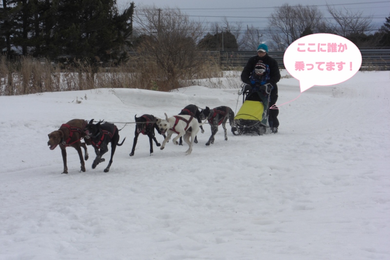 f:id:jddc:20140208111520j:image:w360