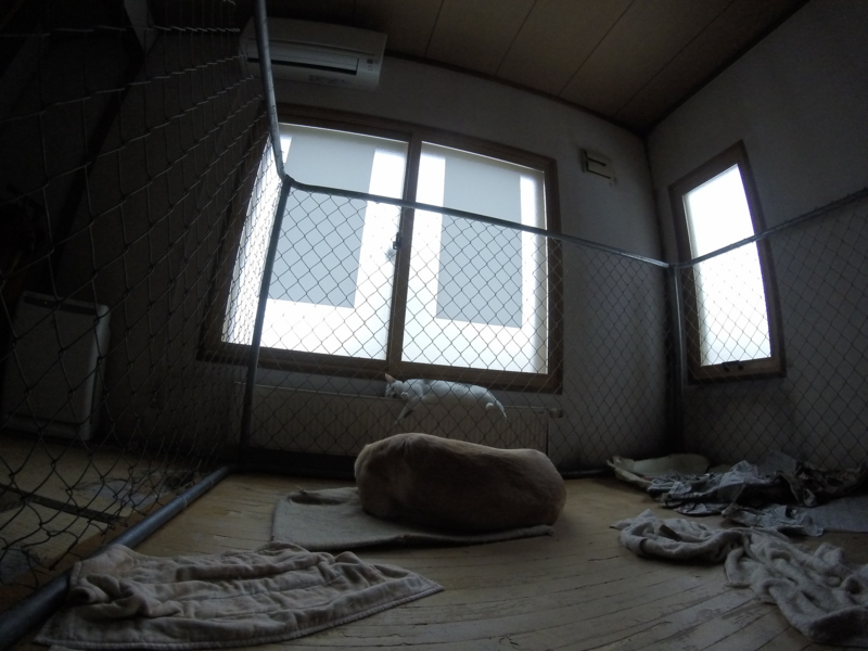 f:id:jddc:20150301131959j:image:w360
