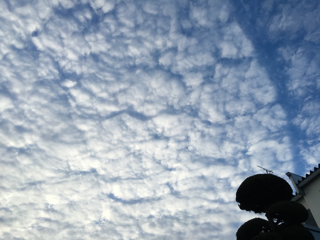 f:id:jdy00247:20160913100943j:plain いわし雲