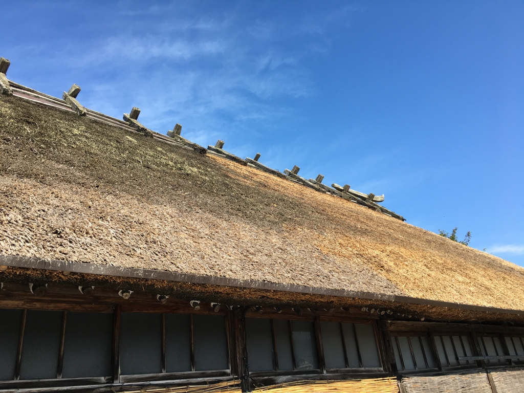 尾花沢市　鶴子蕎麦