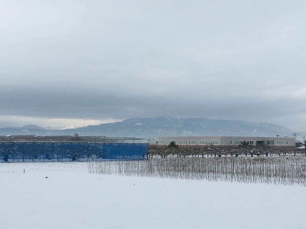 葉山の風景