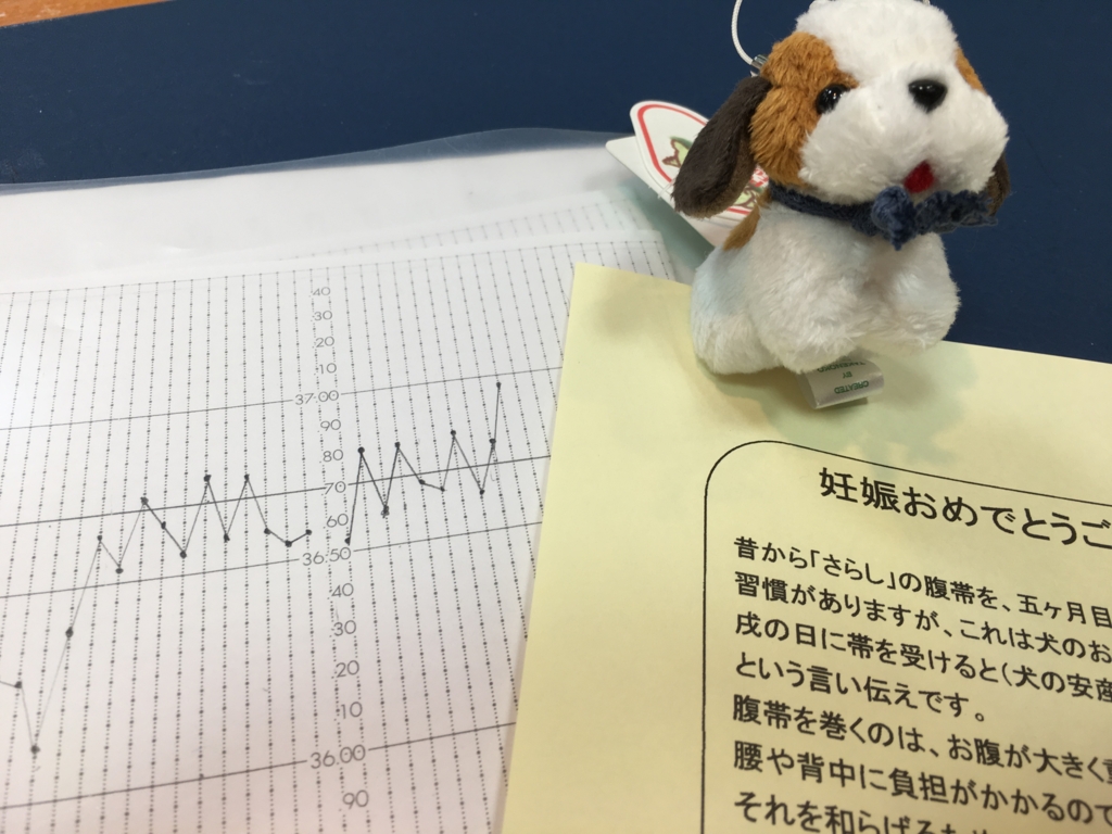 f:id:jdy00247:20170111164552j:plain 姙娠された基礎体温表