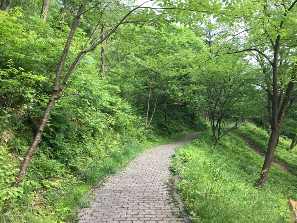 若木山を登るみち