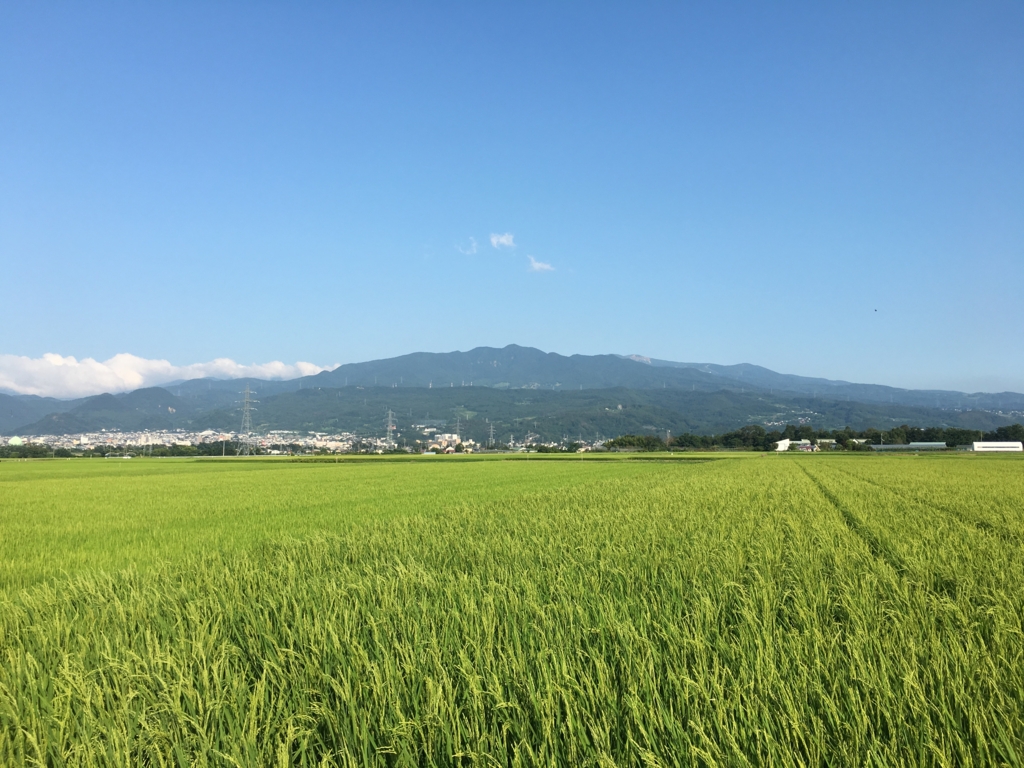 蔵王から山形蔵王の眺め