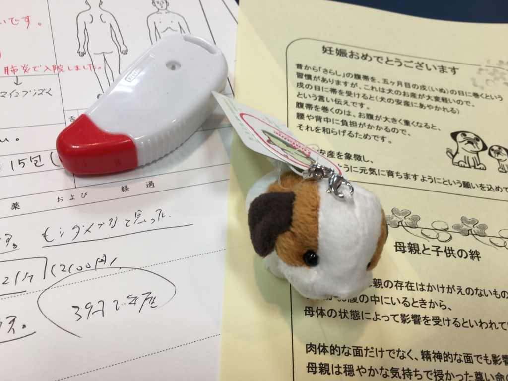 f:id:jdy00247:20170202153532j:plain 妊娠のご報告に犬のマスコット