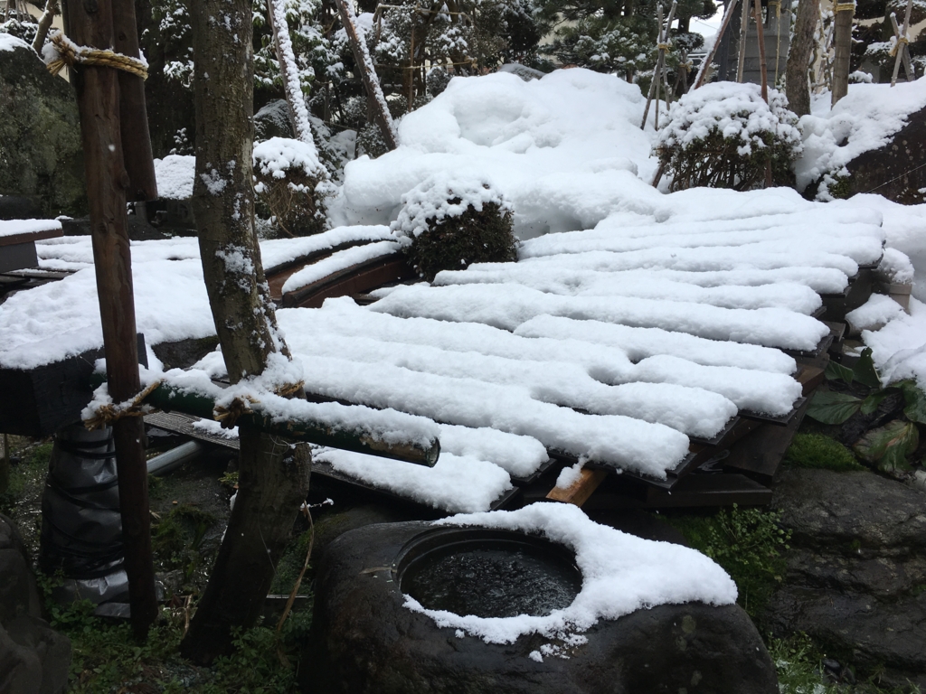 我が家の庭です。雪景色