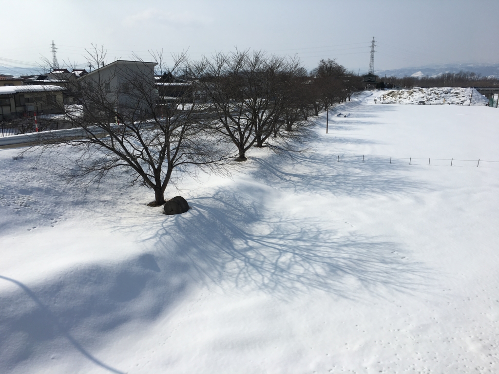 天童市乱川春俟つ桜