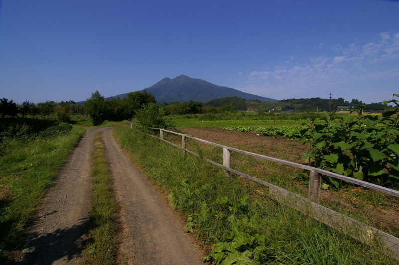 岩木山への道