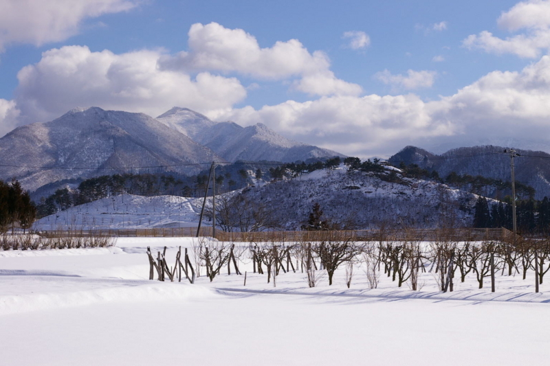 Imgp1635080121 石崎山