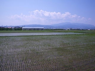 Imgp6051 東根市小田島から眺めた葉山と月山は雲隠れ