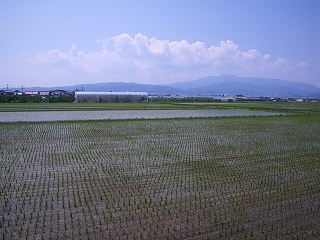 東根市小田島から眺めた葉山と月山は雲隠れ