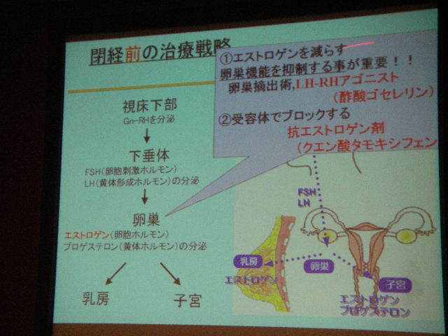 Imgp3745080306 Imgp3745080306