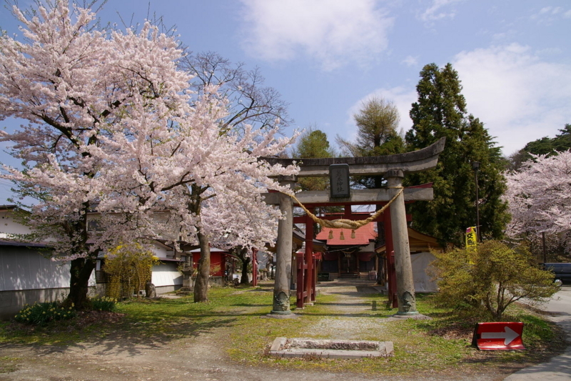 花咲く若木神社