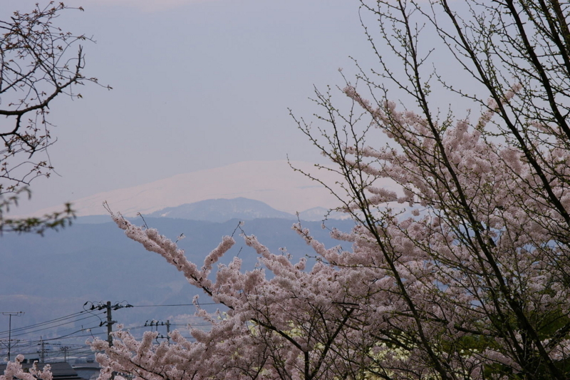 Imgp3151080421 Imgp3151080421