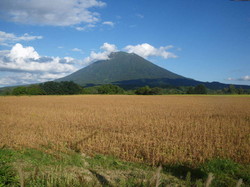 ニセコからの羊蹄山の眺め