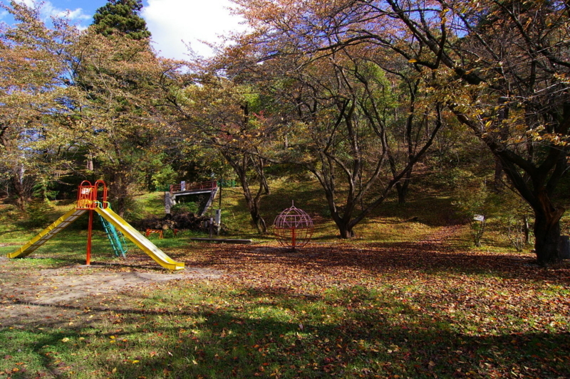 若木山公園　「秋」