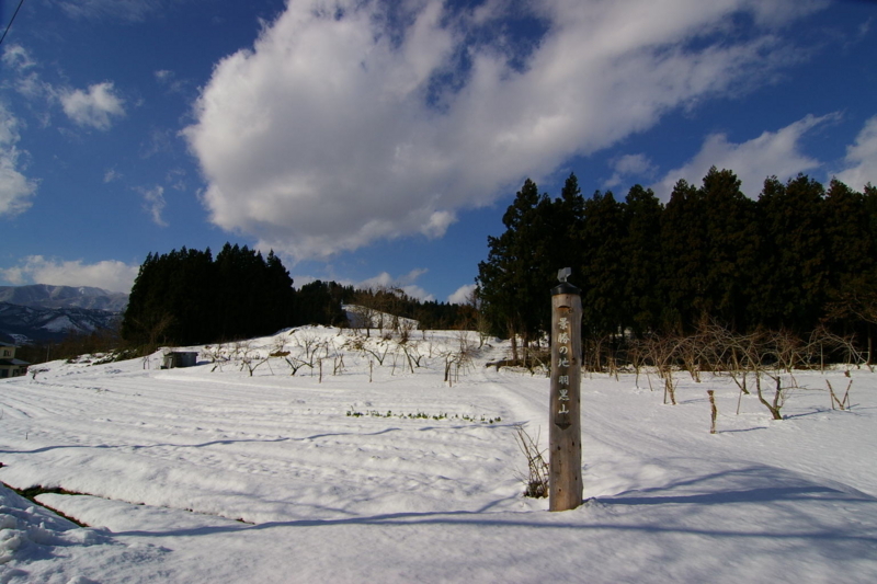 村山市　雪の風景です