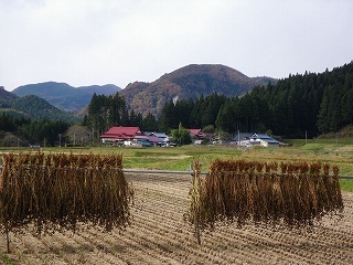 Imgp3625 Imgp3625