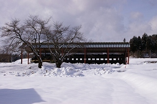 Imgp8556 Imgp8556