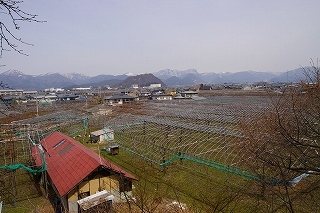 大日様から大森山眺め