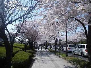 Imgp5566 Imgp5566