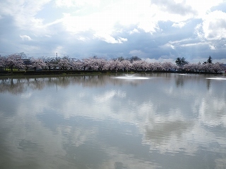 Imgp5609 Imgp5609