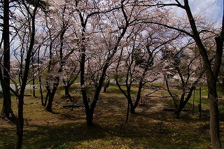 Imgp8741 Imgp8741