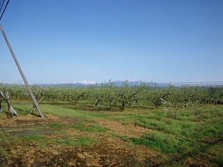 Imgp5880 Imgp5880