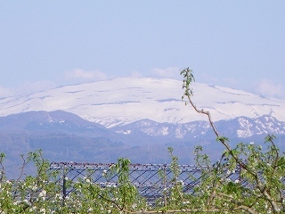 Imgp5882 Imgp5882