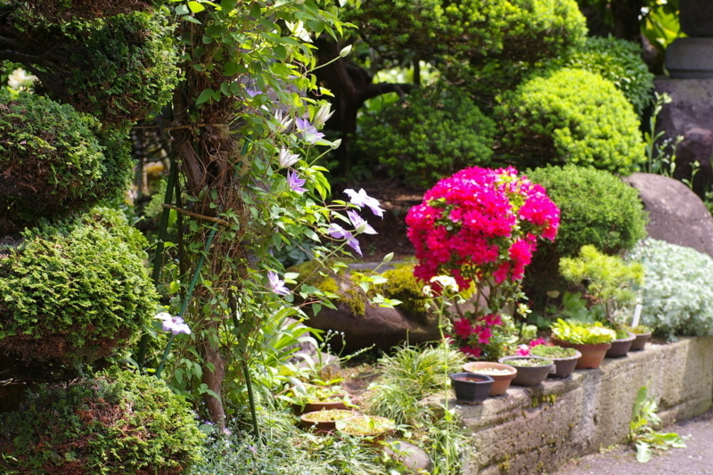 Imgp8946100525 Imgp8946100525