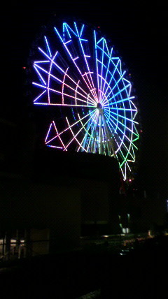 2010091919550000_org 夜の観覧車