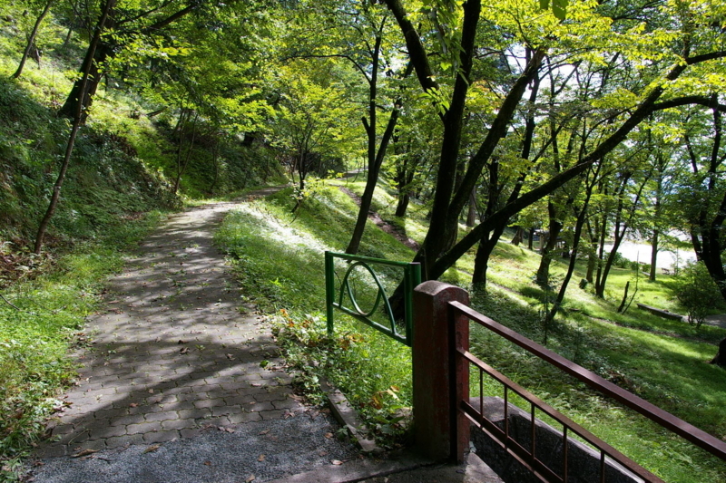 若木山を登る