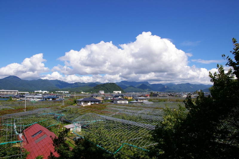 大日尊より月山、葉山眺め