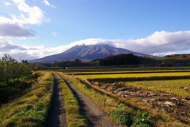 秋の岩木山