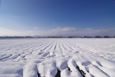 Imgp0599 山形県村山市 葉山眺め 雪が降った日