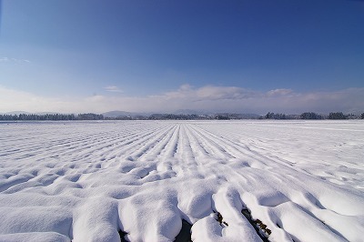 山形県村山市　葉山眺め　雪が降った日