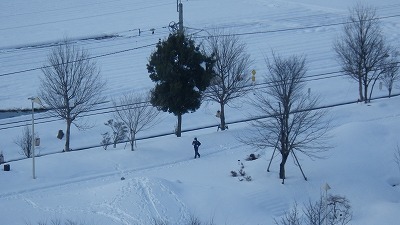 雪景色