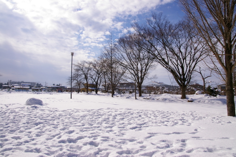 若木山公園